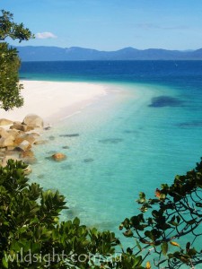 Nudey Beach, Fitzroy Island