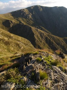 Ridge near the Sentinel