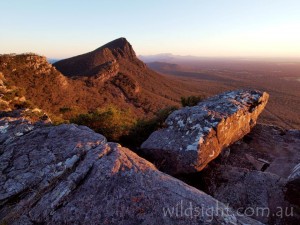 View north to Signal Peak at sunrise from the slopes of Mount Abrupt