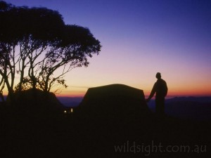 Dawn on Mount Speculation
