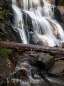 Toorongo Falls, Noojee