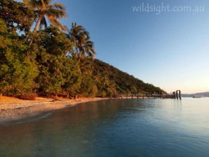Welcome Bay, Fitzroy Island