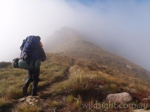 Hiking in early morning cloud