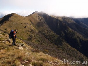Hiking on the Crosscut Saw