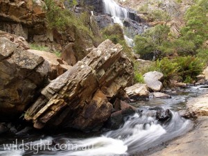 Mackenzie Falls