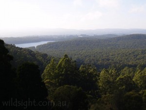 View from Five Ways Lookout, Mount Dandenong