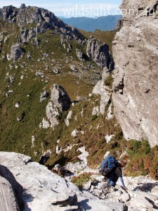 Typical section of the Western Arthurs traverse