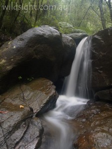 Olinda Falls