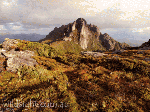 Mount Hesperus in early morning light