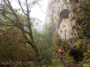 Track below Point Lookout