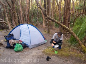 Junction Creek campsite