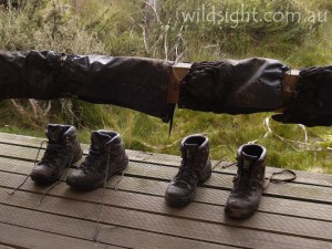 Boots drying outside hut, Overland Track