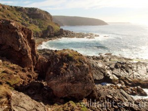 View east from Cape de Couedic