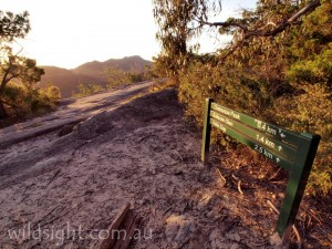 Chatauqua Peak walking track
