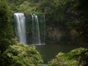 Dangar Falls