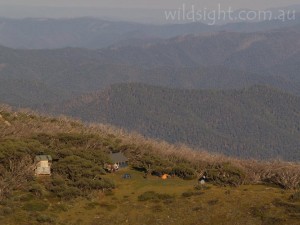 Federation Hut from the Razorback