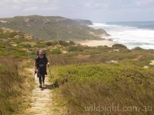 Final leg of the Great Ocean Walk