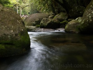 Mossman River