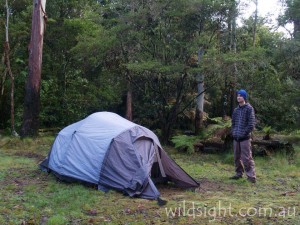 New England campsite