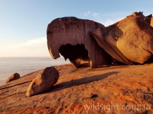 Remarkable Rocks at sunrise