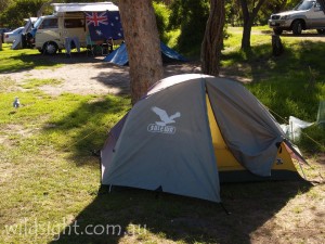 Tidal River campsite, Wilsons Promontory