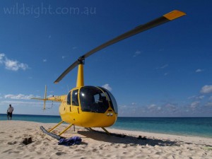 Helicopter on sand cay, Great Barrier Reef