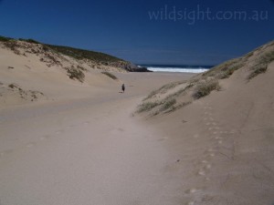 Walking to Sandy Bay