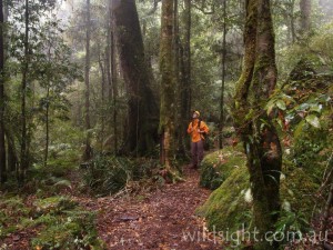 Weeping Rock track