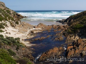 Rocky River meets the ocean