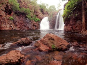 Florence Falls