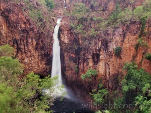 Tolmer Falls