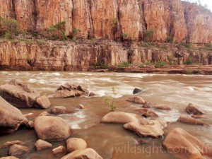 Cascades between First and Second Gorges, Nitmiluk National Park