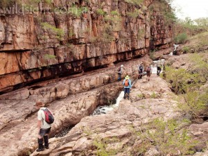 Kakadu hikers