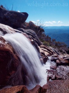 Dicksons Falls