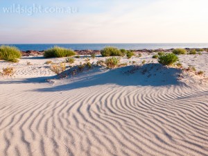 Dunsborough dunes