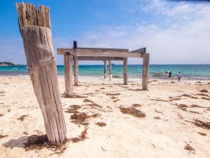 Hamelin Bay jetty