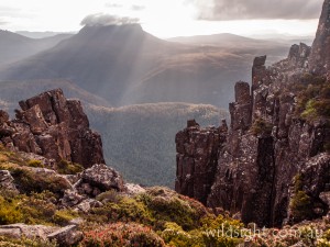 View from Mount Oakleigh