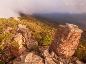 Morning fog at Ruined castlle