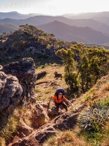 Mt Speculation, hike, walk