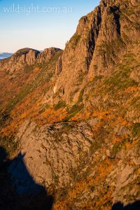 East face of Cradle Mountain at sunrise