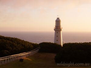 Cape Otway lighthouse