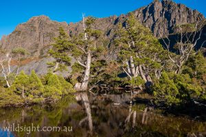 Artists Pool, Cradle Mountain-Lake St Clair National Park Tasmania