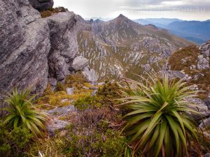 View from Mount Hayes