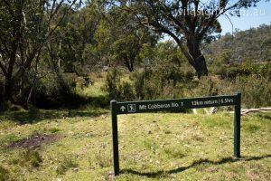 Look for this sign in the Playgrounds