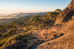 View east from Mt Cobberas No.1