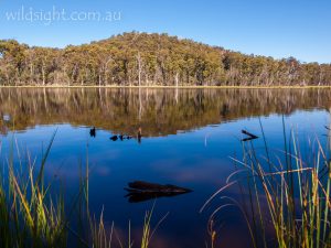 Lake Cobbler, Alpine National Park Victoria