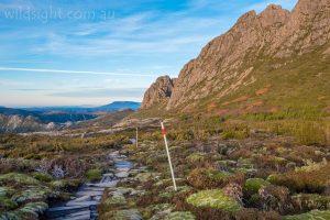 Cradle Mountain Face Track