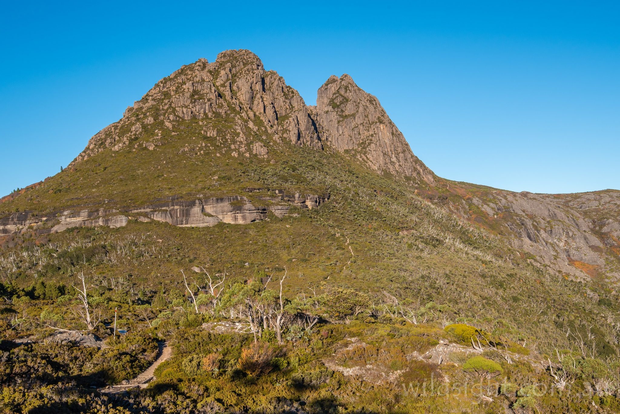 cradle mountain bike trail