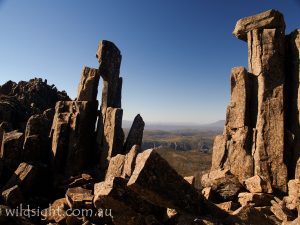 Near Cradle Mountain summit, Tasmania