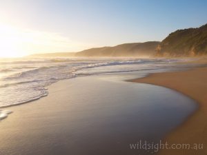 Johanna Beach